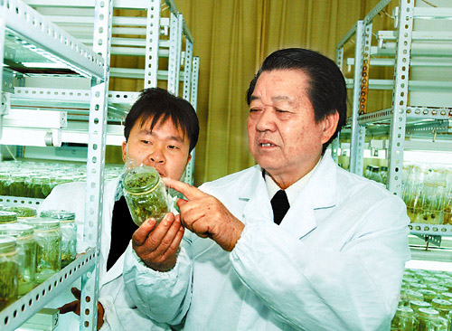 颜龙安